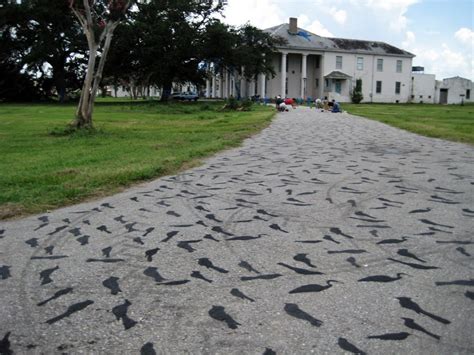 Park Places: 10 Creatively Paved, Painted & Personalized Driveways - WebUrbanist