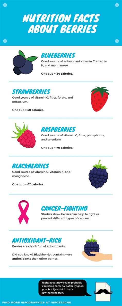 Nutrition Facts About Berries [Infographic] - Infostache