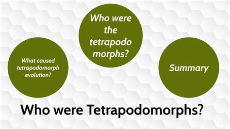 The Evolution of Tetrapods by Sara Wilson on Prezi