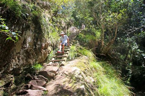 10 Best hiking trails in Cape Town in 2023 - STINGY NOMADS