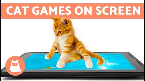 Touch Screen Games For Cats : CAT GAMES ★ FAST DRAGONFLY HUNT on screen - YouTube / Search by ...