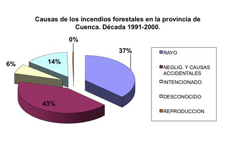 Las causas de los incendios forestales en la provincia de Cuenca.