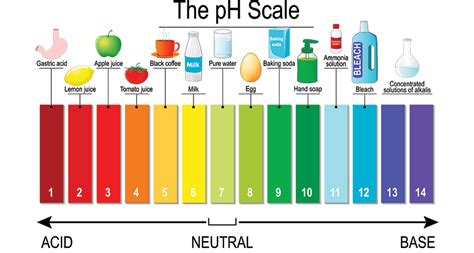 Ph Scale Acids And Bases