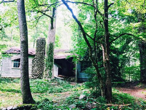 Hiking Trail in Elkmont, Great Smoky Mountains, TN | Smoky mountains ...