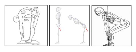 The Fundamental Hip Hinge | Rehab-U BLOG