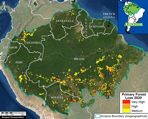 The Amazon lost an area of primary forest larger than Israel in 2020 ...