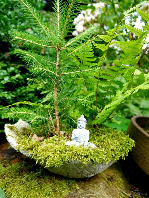 Mini Zen garden buddha Mini Zen Garden, Luxury Garden, Garden Sculpture ...