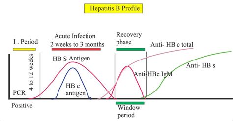 Hepatitis B Virus – Part 4 – Anti-HBS Antibody (ELISA), HBV – Labpedia.net