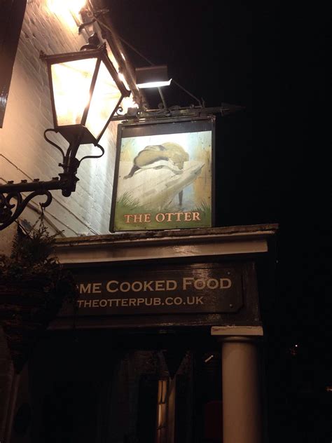 THE OTTER (Otterbourne): All You Need to Know BEFORE You Go