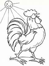 Animals Coloring Pages Rooster sketch template