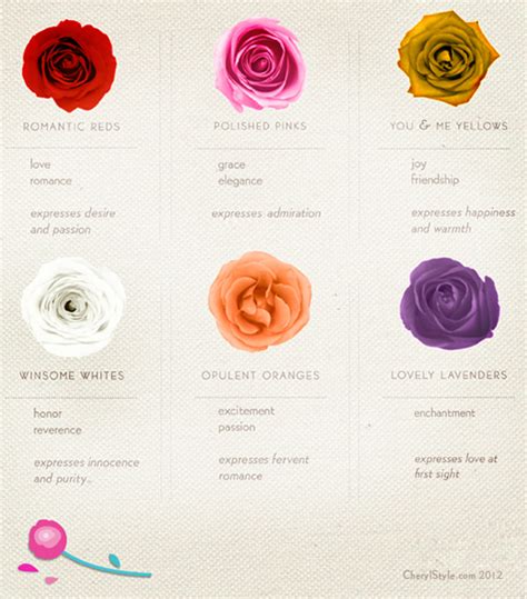 Complete Guide to Rose Colors and Their Meaning – Everyday Dishes