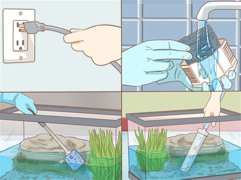 4 Ways to Take Care of Baby Water Turtles - wikiHow