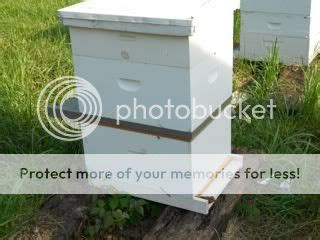 The Cloake board method | Beekeeping Forums