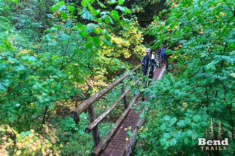 Bend Trails » McKenzie River Trail