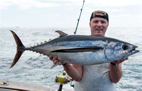 bluefin tuna fishing charters | Innovative Idea Hub