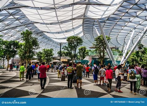 Jewel Changi Airport Singapore - Canopy Park Editorial Image - Image of canopy, greenhouse ...