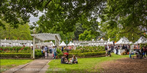 Варунга парк, Wahroonga Park, Варунга, Wahroonga, Сидней, Sydney, Австралия, Australia