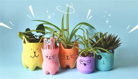 Make these recycled planet-saving plant pots | Wonderbly Blog
