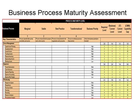 Conducting ERP Assessment to Maximize ERP ROI | ERP the Right Way!