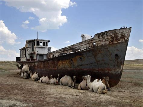 Abandoned Ship in the dried Aral Sea | Abandoned ships, Shipwreck, Boat