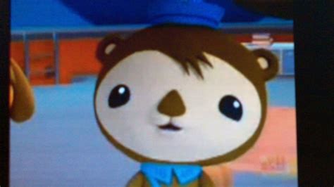 Image - Shellington sea otter.JPG | Octonauts Wiki | FANDOM powered by ...