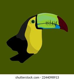 Toucan Made Vector Green Background Stock Vector (Royalty Free) 2244098913 | Shutterstock