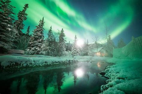 Aurora borealis Alaska | Travel photographer, Northern lights, Aurora borealis alaska