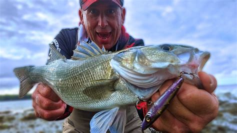 Lure Fishing For Bass | Pembrokeshire Bass Lure Tournament - YouTube