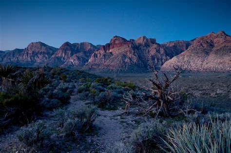 las, Nevada, Vegas, Desert, Unit, State Wallpapers HD / Desktop and Mobile Backgrounds