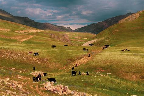 Deosai Plains - Guide To Pakistan