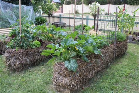 Guest Post - Straw Bale Gardening - Gardening 4 Kids