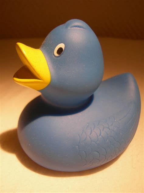 Tine's Rubber Duck Collection: blue duckie