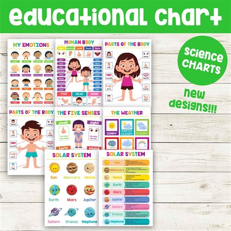 ♧Laminated Educational Chart Science Parts of the Body, Five Senses, Emotions | Shopee Philippines