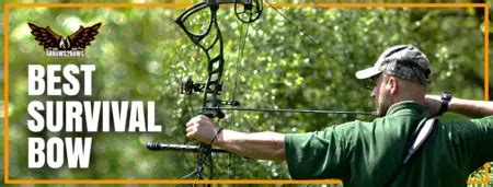 Best Survival Bow - Arrows 2 Bows