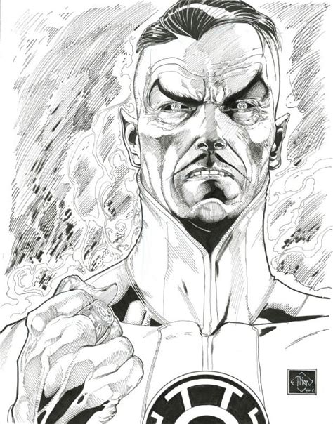 Sinestro by Ethan Van Sciver, in R H's Collection Comic Art Gallery Room