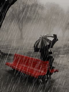 Wet Red Bench And Person On Rainy Day GIF | GIFDB.com