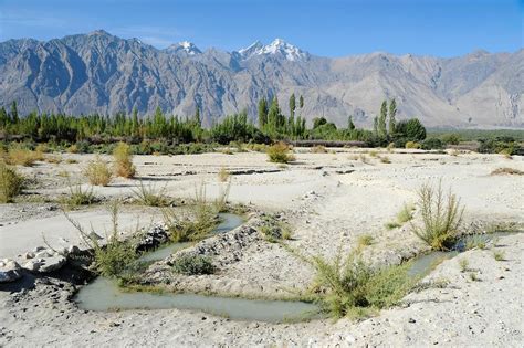 Nubra Valley (7) | Nubra Valley | Pictures | India in Global-Geography