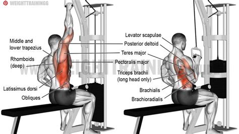 Best back exercises for lower, middle, and upper back! - Page 2 of 9 ...