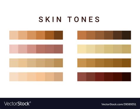 Skin tone color scale chart brown palette Vector Image