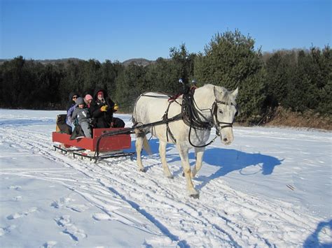 Sleigh Ride Sleigh Sled Winter Cold Ride Horse - Laminated Poster Print ...