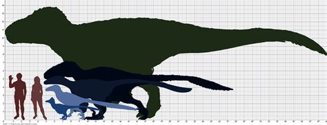 Theropod Size comparison by xxlucyxxx on DeviantArt