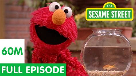 Sesame Street Elmo And Friends