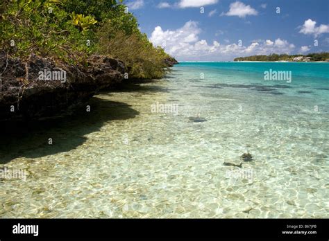 Ile aux aigrettes nature reserve hi-res stock photography and images ...