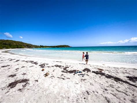 The 9 Best Beaches in Vieques, Puerto Rico - Family Can Travel