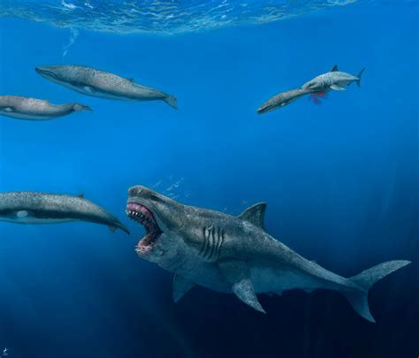 Species New to Science: [PaleoIchthyology • 2022] The Extinct Shark Otodus megalodon was A ...