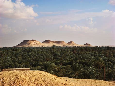 siwa oasis- egypt Free Photo Download | FreeImages