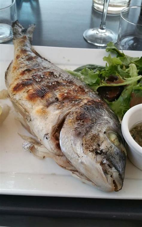 Grilled sea bream stock photo. Image of grilled, plate - 125185738