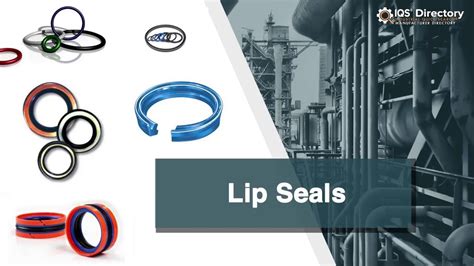 Lip Seal Manufacturers, Suppliers, and Industry Information - YouTube