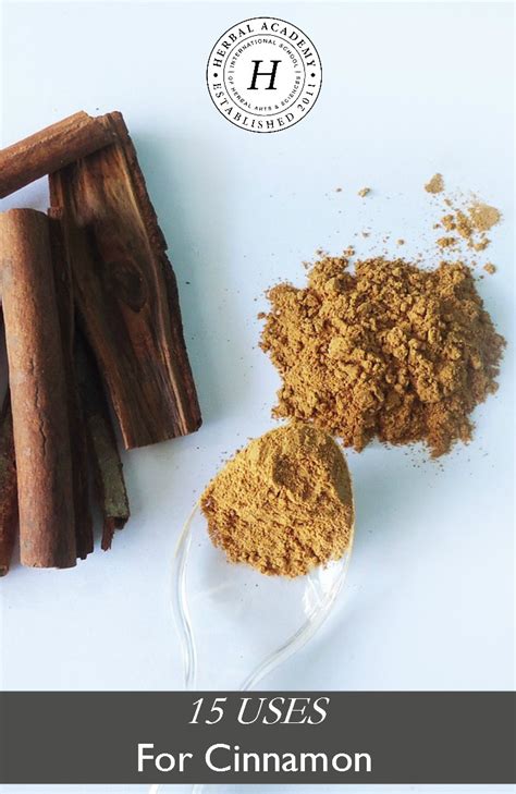 15 Uses for Cinnamon – Herbal Academy