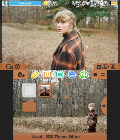 Taylor Swift - evermore | Theme Plaza